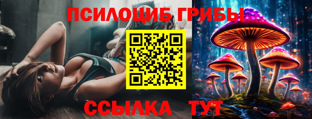 Псилоцибиновые грибы прущие грибы  Вход с VPN  Новосибирск 