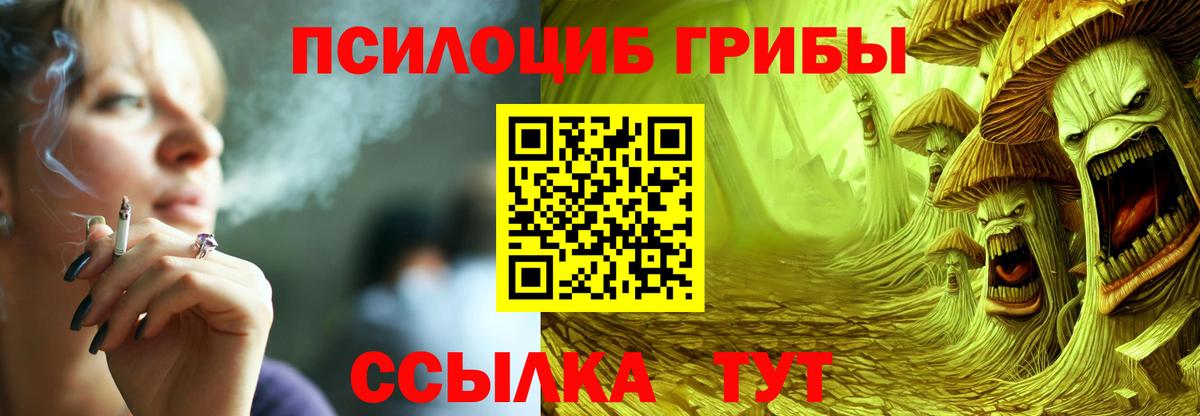 Псилоцибиновые грибы GOLDEN TEACHER Новосибирск